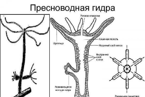 Сайты с наркотой