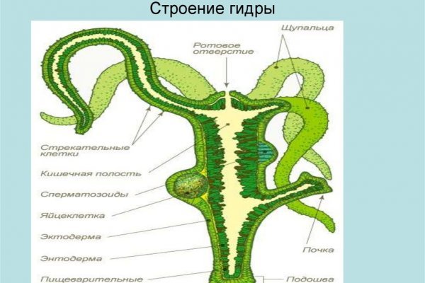 Кракен ссылка тор браузер